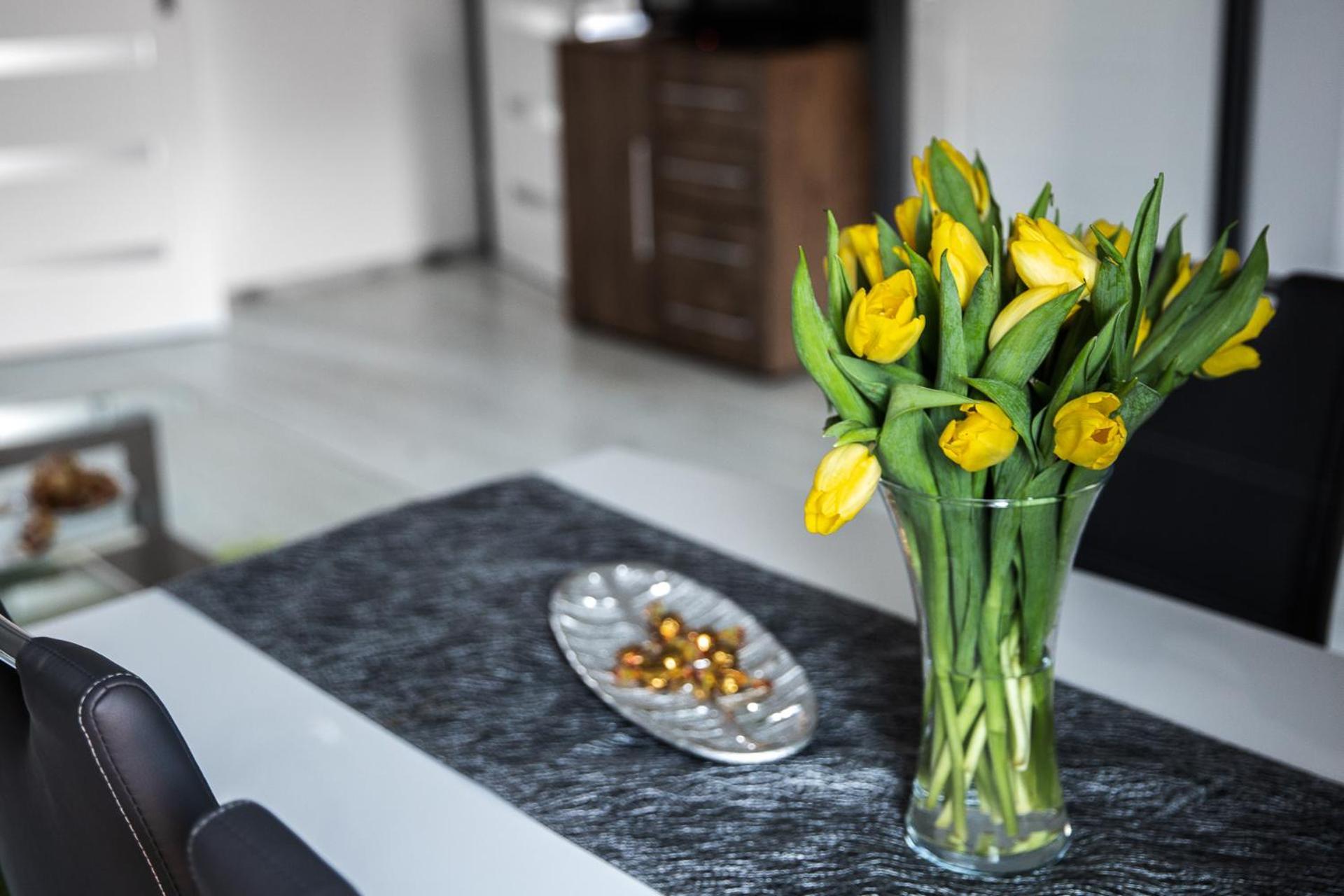 Apartament Szczesliwy Ustrzyki Dolne Buitenkant foto